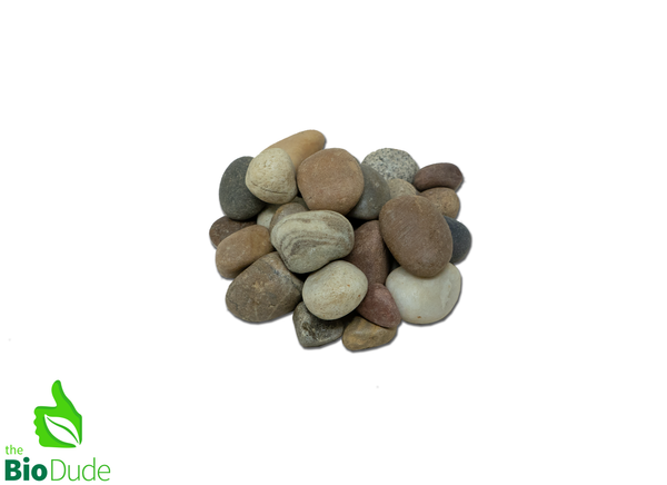 Colored River Pebbles - 5 LB box