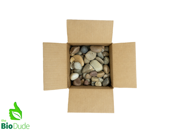 Colored River Pebbles - 5 LB box