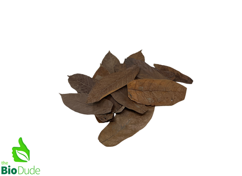 Colombian Leaf Litter - Cacao 20 count