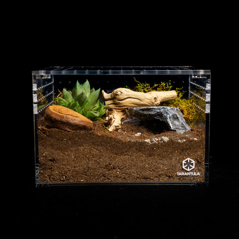 Tarantula Cribs -Medium Cuboid 9x7x6"