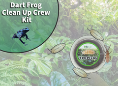 Poison Dart Frog Vivarium Bugs | The Bio Dude