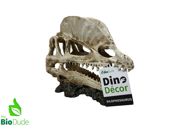 The Bio Dude - Dino Decor Dilophosaurus