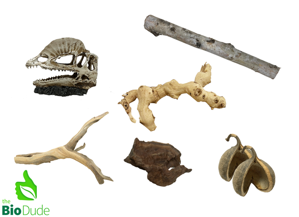 Dilophosaurus Decor Kit