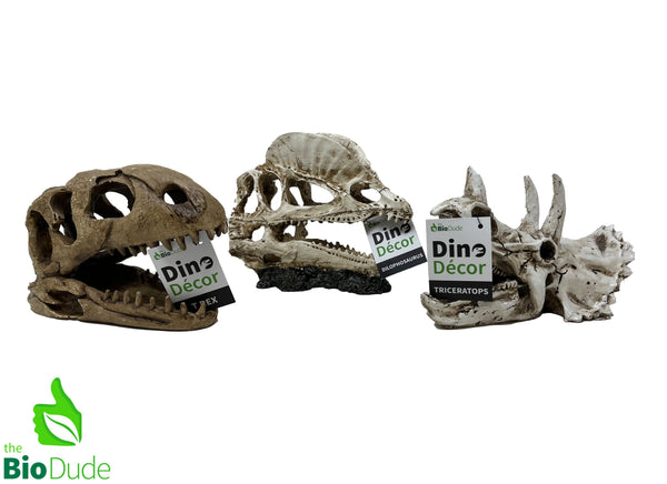 The Bio Dude - Dino Decor Dilophosaurus