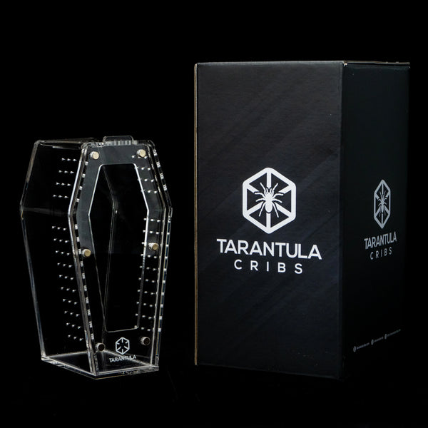 Tarantula Cribs - Coffin Crib