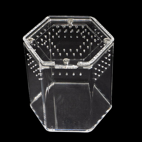 Tarantula Cribs - Hexagon Crib