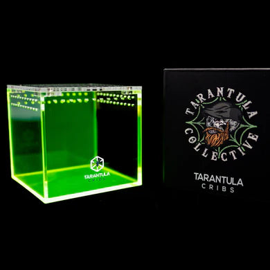 Tarantula Cribs - Tarantula Collective Special Edition 3" Cube