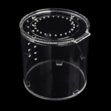 Tarantula Cribs - 360 Fossorial 4"