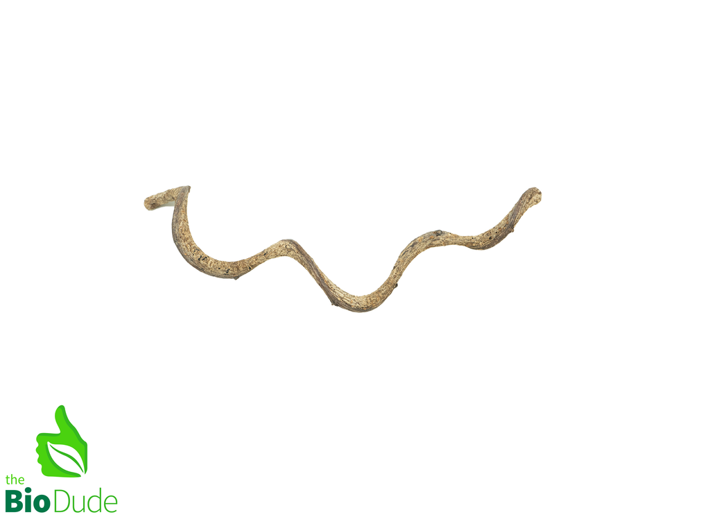 Jungle Vine Wood