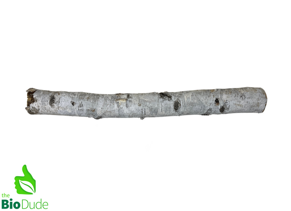 Birch Branch 100% natural and ethically sourced