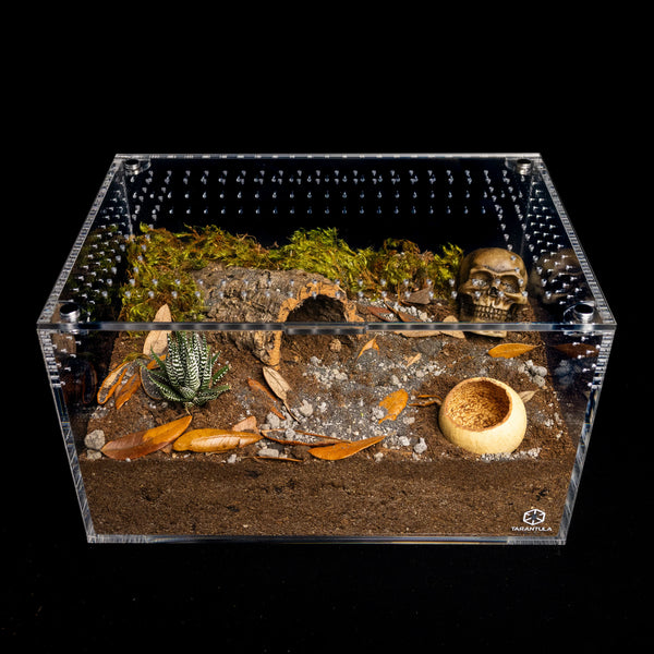 Tarantula Cribs - Large Cuboid 14x10x8