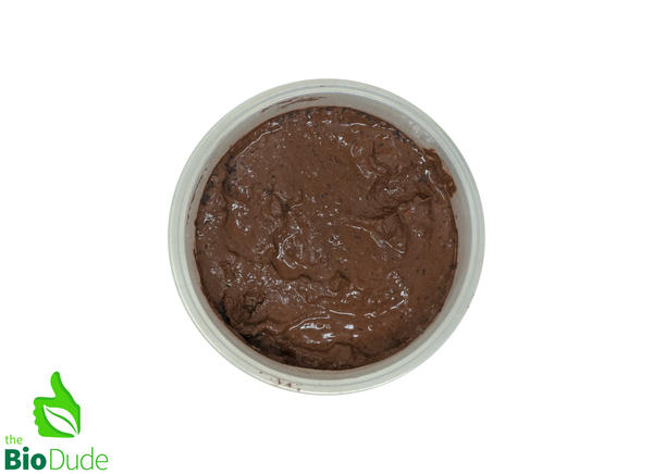 Temperate Lilac Springtails (Ceratophysella sp) - 8 ounce container FREE SHIPPING