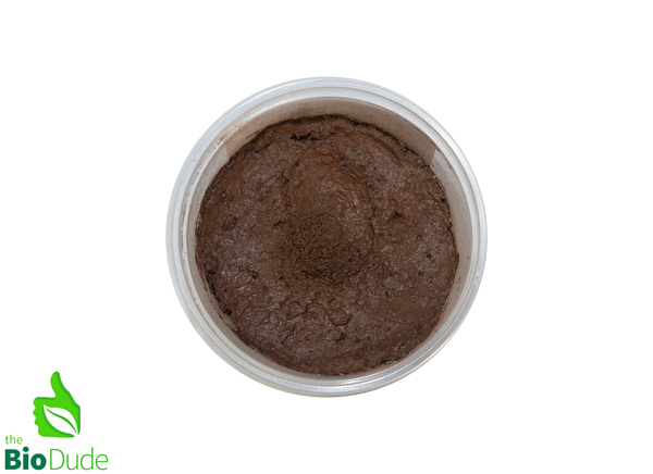 Springtails - Lilac X Albino Temperate  Environments - 8 ounce container FREE SHIPPING