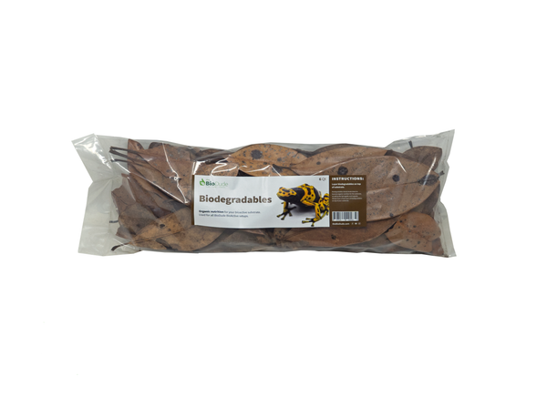 Bio Dude Leaf Litter - Magnolia Leaves
