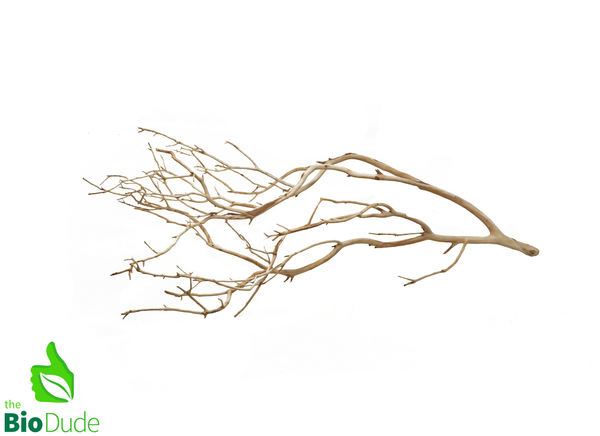 Natural Manzanita Full Branch(Sandblasted) - Intricate