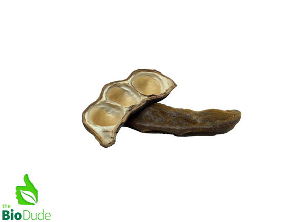 Bean Olho Pod – The Bio Dude