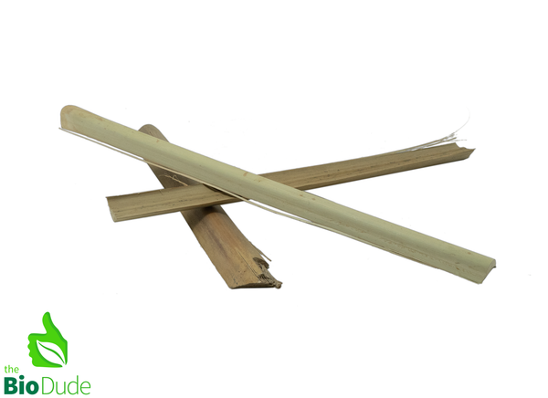 Palm Stalks - 10 PCS - Assorted Sizes