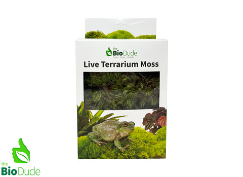 BioDude Live Terrarium Moss - Natural Pillow Moss