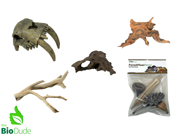 Sabertooth Tiger Decor Kit