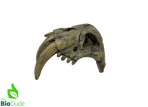 The Bio Dude - Dino Decor Sabertooth Tiger