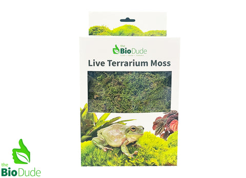 Live Sheet Moss - Natural