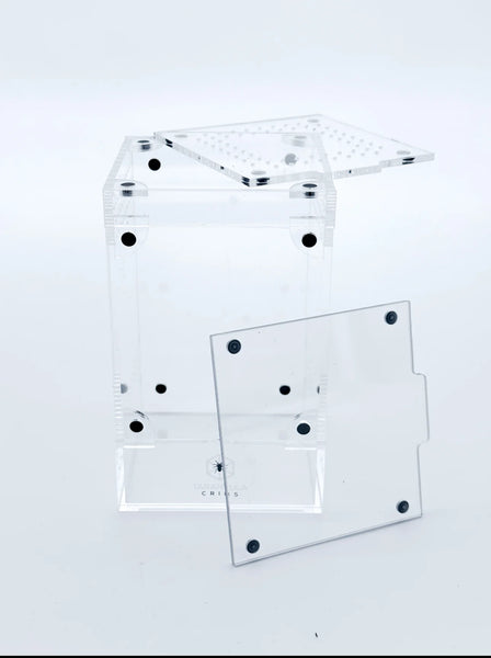 Tarantula Cribs - Treehouse Crib