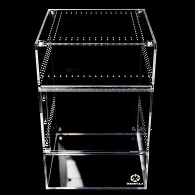 Tarantula Cribs - Treehouse Crib