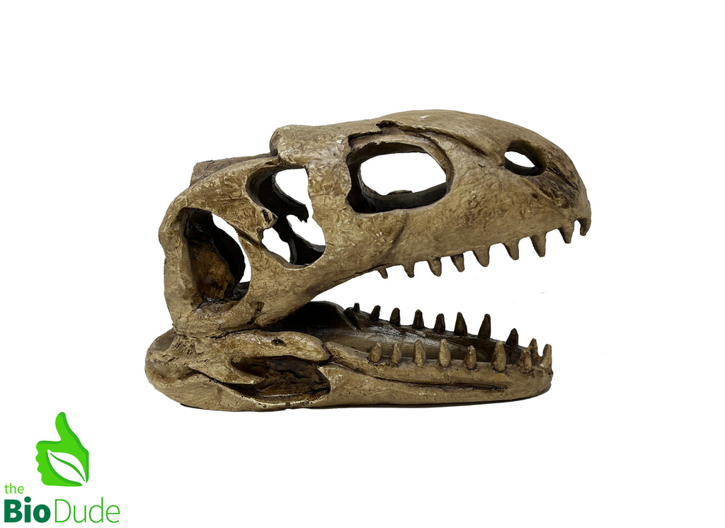 The Bio Dude - Dino Decor T-Rex