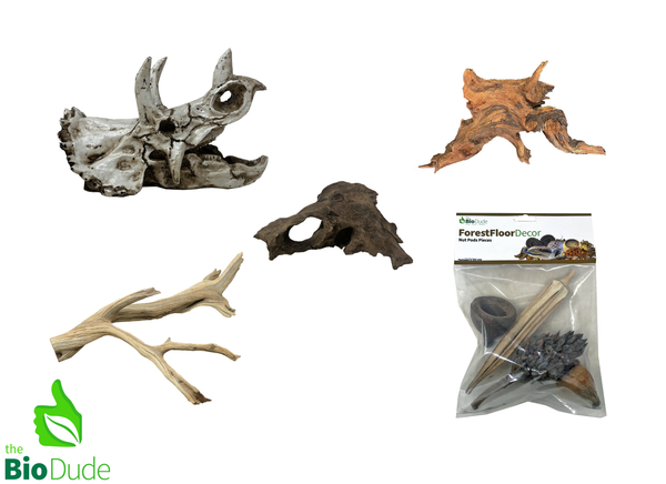 Triceratops Decor Kit