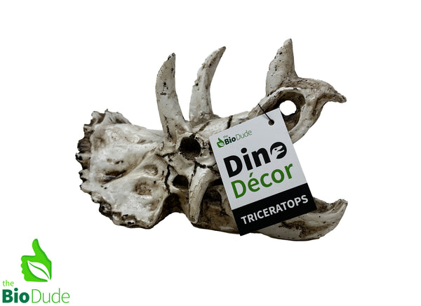 The Bio Dude - Dino Decor Triceratops