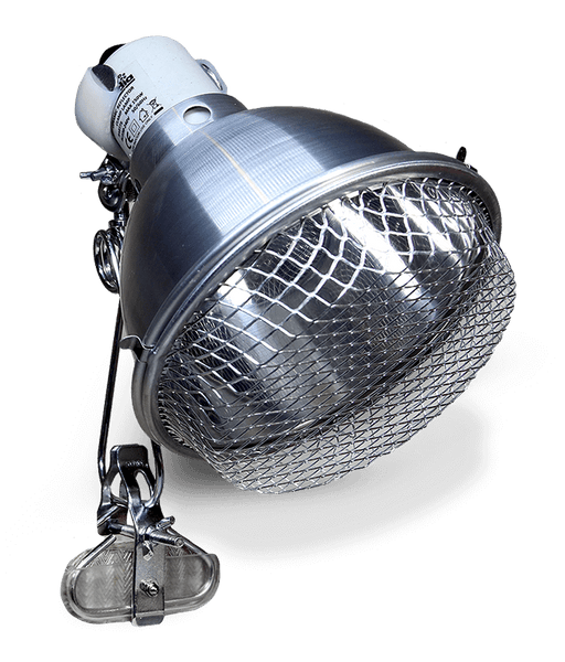 Arcadia Ceramic Reflector Clamp Lamp 5.5"