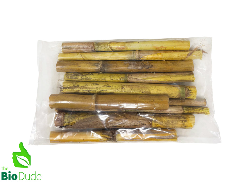 Natural Bamboo Stalks - 10 PCS - Assorted Sizes/Width