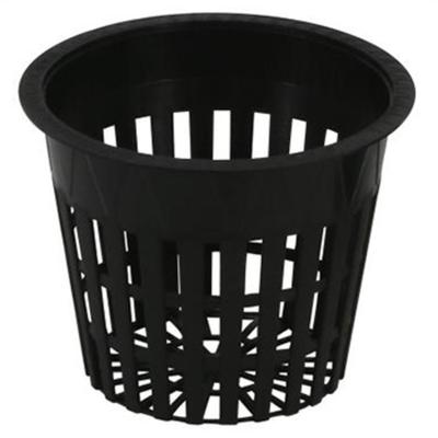 aquatic plant pot Net pot for aquatic plants, epiphytes and terrarium backgrounds – The Bio Dude