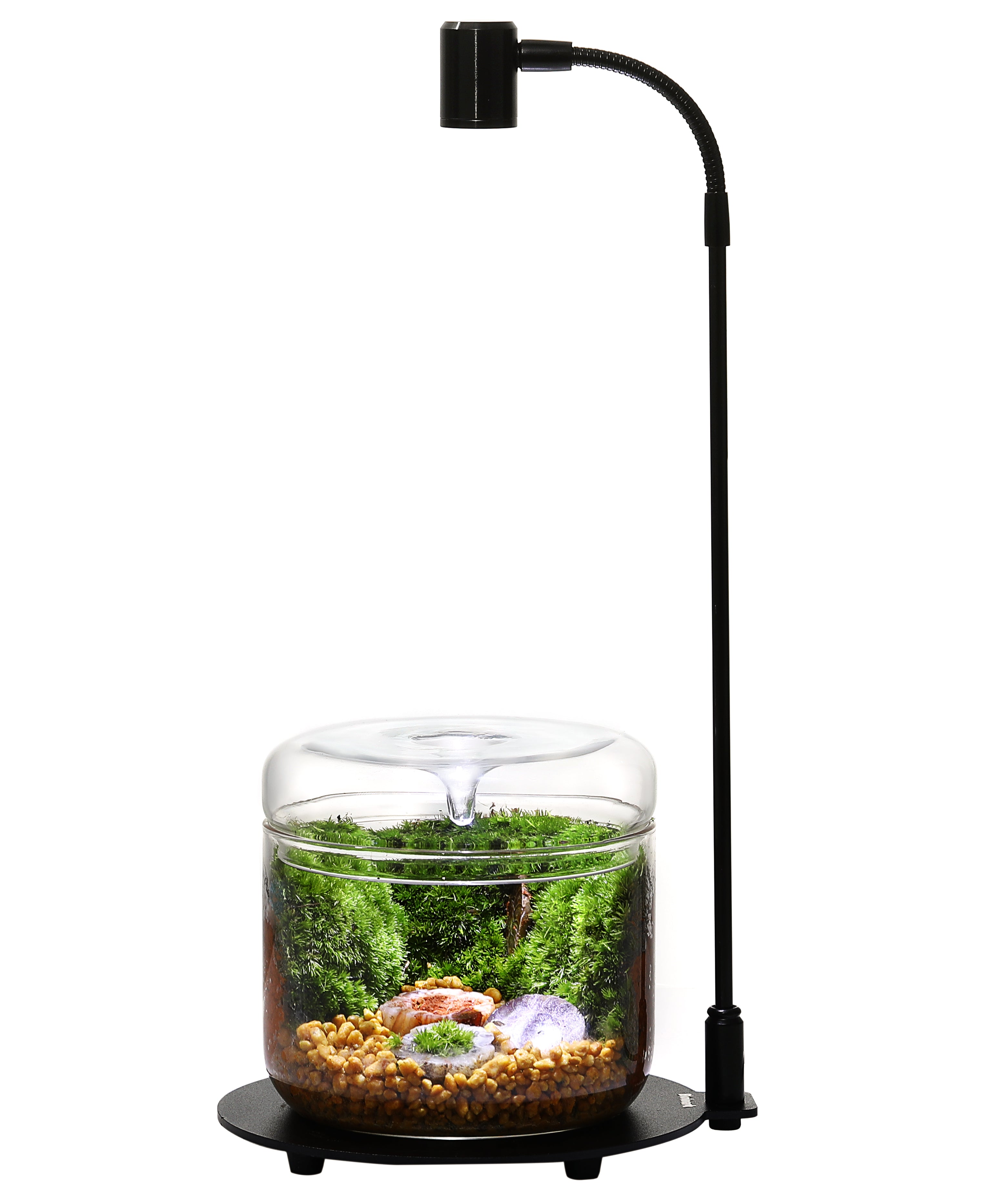 Bioloark Luji LED Lamp Stand – The Bio Dude