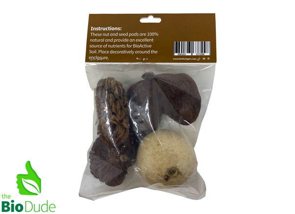 FOREST FLOOR NUT POD DECOR PACK