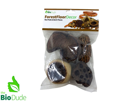 FOREST FLOOR NUT POD DECOR PACK