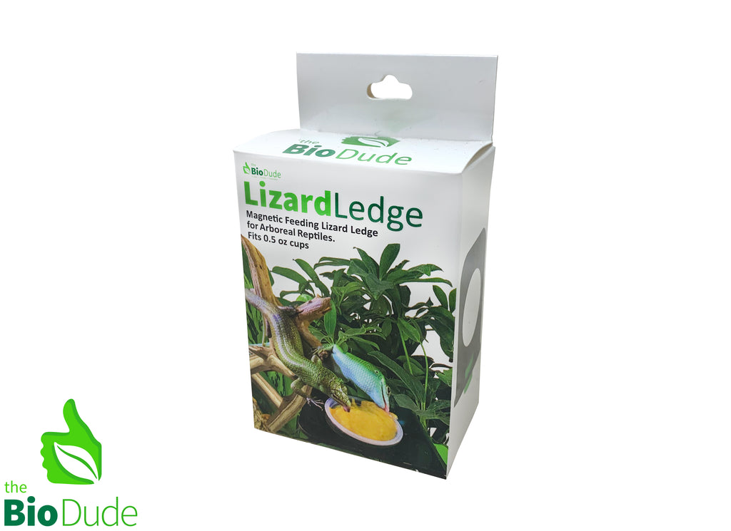 Lizard Ledge - Magnetic Ledges for Reptiles - 0.5 cup - The Bio Dude