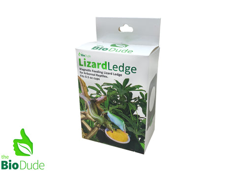 Lizard Ledge - Magnetic Ledges for Reptiles - 0.5 cup - The Bio Dude