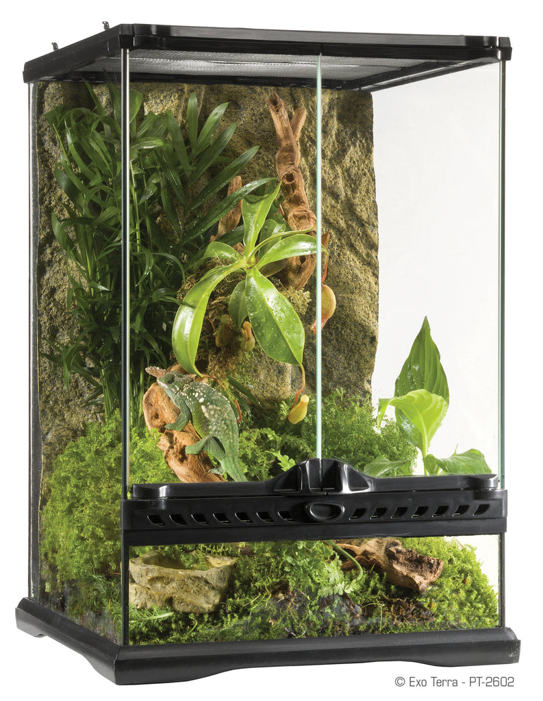 Exo Terra 12" x 12" x 18" Glass Terrarium FREE SHIPPING