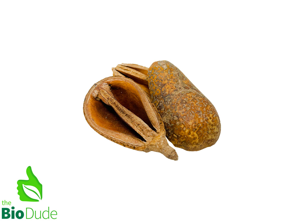 Pear Pod 3 pack