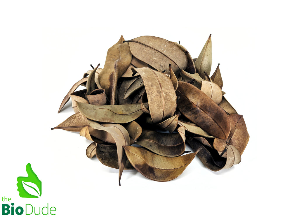 Bio Dude Leaf Litter - Peruvian Marupa
