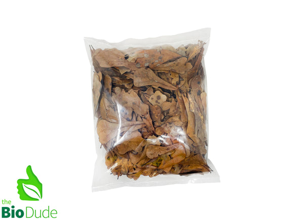 Bio Dude Leaf Litter - Water Oak