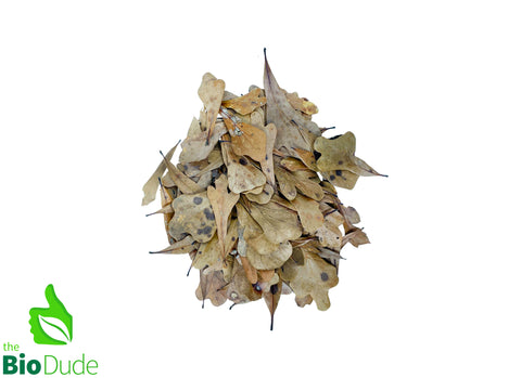 Bio Dude Leaf Litter - Water Oak