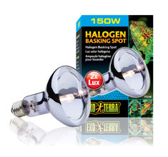 Exo Terra Halogen Basking Spot Lamp – The Bio Dude
