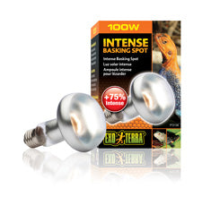 Exo Terra Intense Basking Spot Bulb