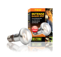 Exo Terra Intense Basking Spot Bulb