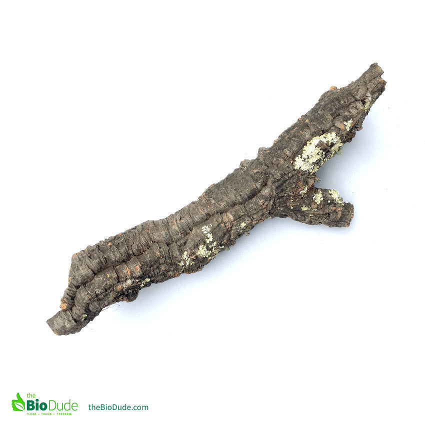 Cork Bark Hide 4pcs Reptile Bark Decor Wood, Natural Cork Bark, Bark Cork Cork Flats