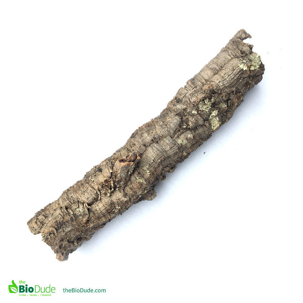 Large *Show Grade* Cork Bark Tube 24" - 32"