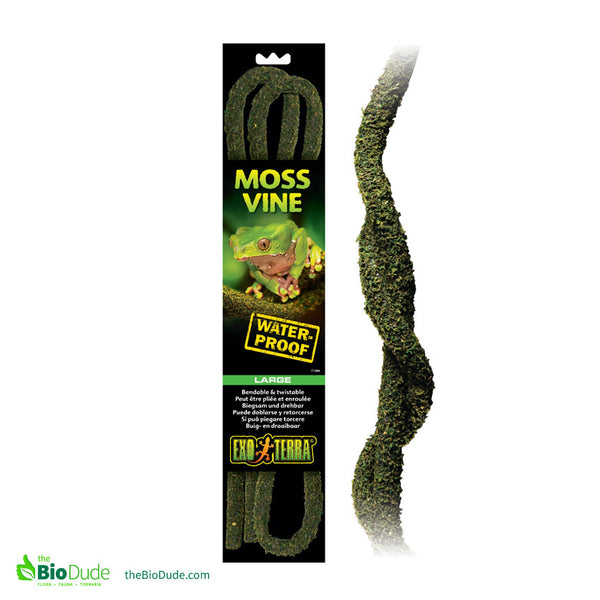 Exo Terra Moss Vine